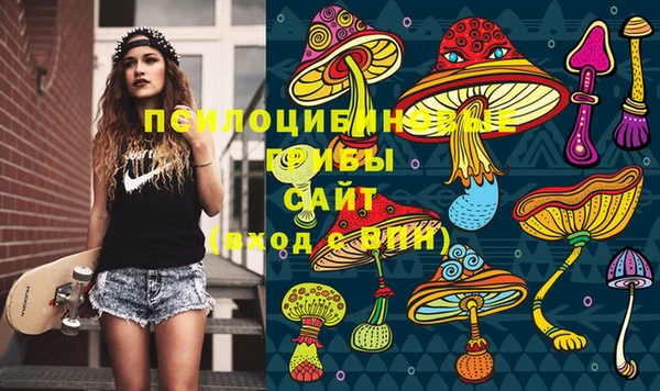 альфа пвп Алексеевка