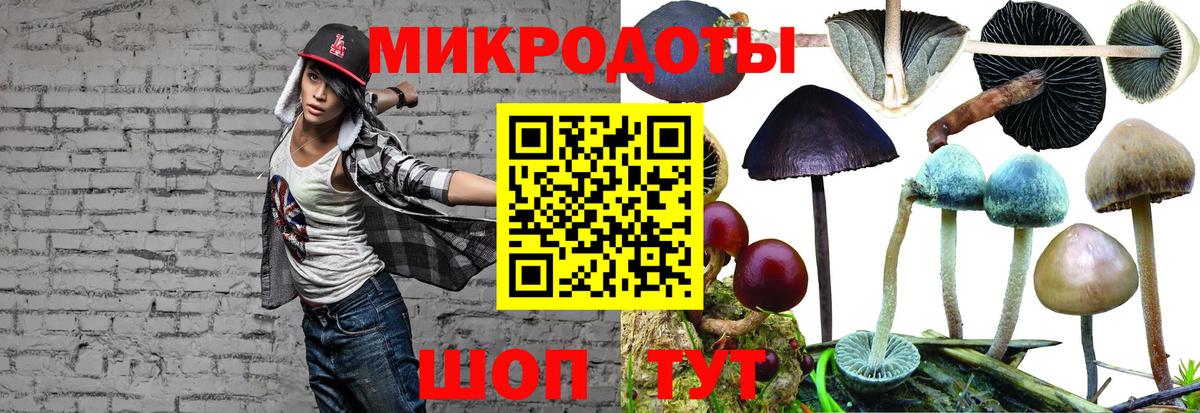 Галлюциногенные грибы мицелий Сосновоборск